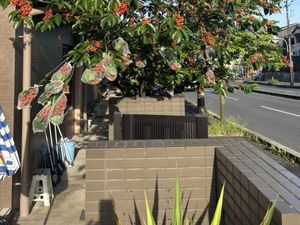 実のなる木の外観  