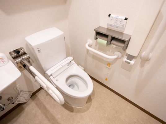 手すり付きトイレ