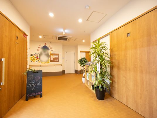 植物が並ぶ廊下