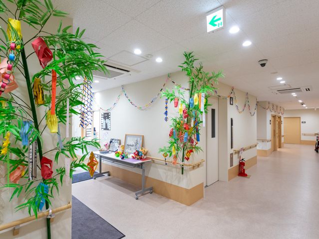ゆったりとした廊下 廊下 広々とした廊下には、季節感あふれる装飾が施され、訪れる方への気配りが感じられます。