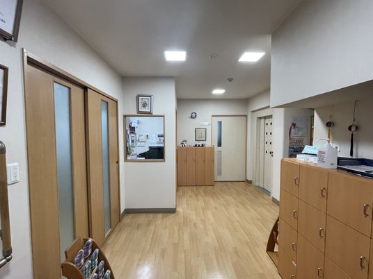 清潔感のある明るい廊下
