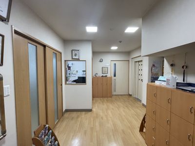 清潔感のある明るい廊下