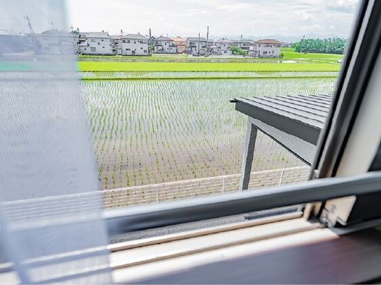窓から見える田園風景