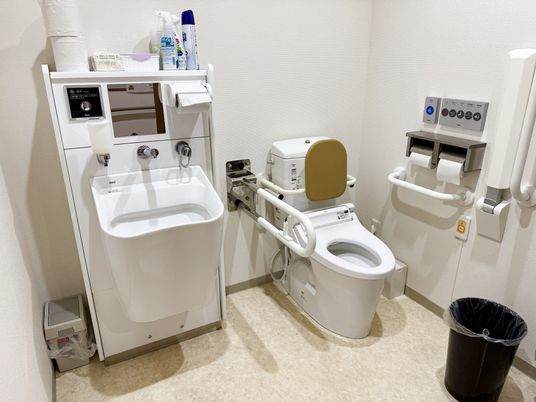 機能的な設備のトイレ