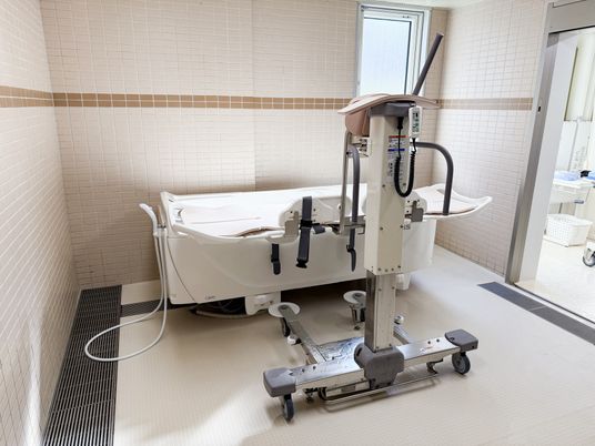 機械浴の設備が整う浴室