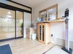 玄関エリアの清潔な空間