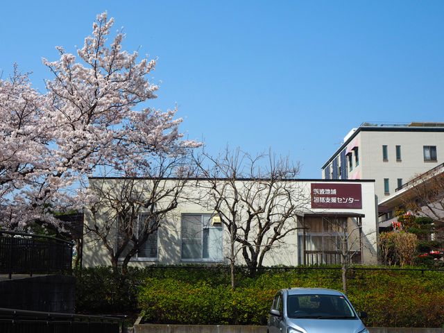 桜のある施設外観 外観   桜の木に囲まれた明るい外観です。落ち着いた雰囲気の中で働ける環境が伝わります。