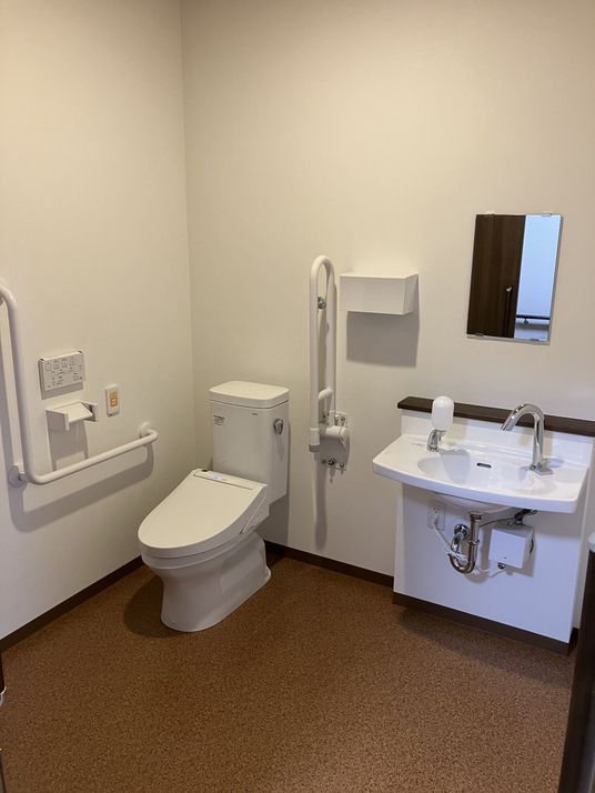 清潔な設備のトイレ