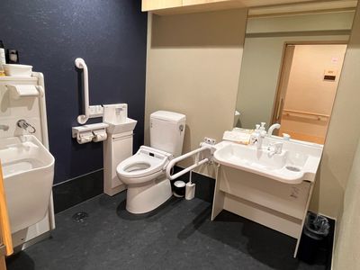 バリアフリーの洗面台とトイレ
