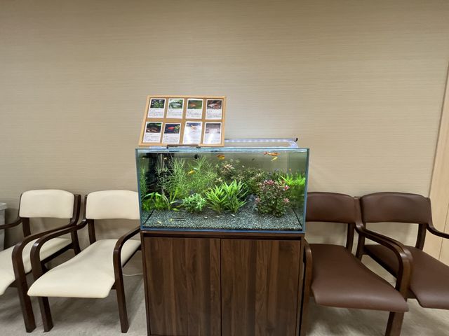 観賞用水槽と椅子のある部屋 休憩室 観賞用の水槽が置かれた空間は、リラックスしながら過ごすのに最適な環境です。