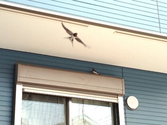 青い外壁の窓周辺  