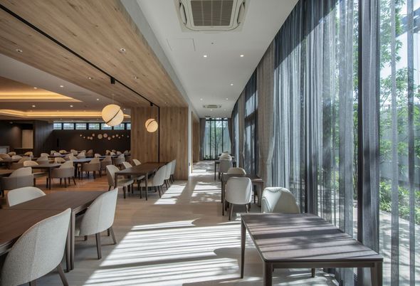 自然光の入る食堂