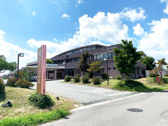 さくらんぼの外観  