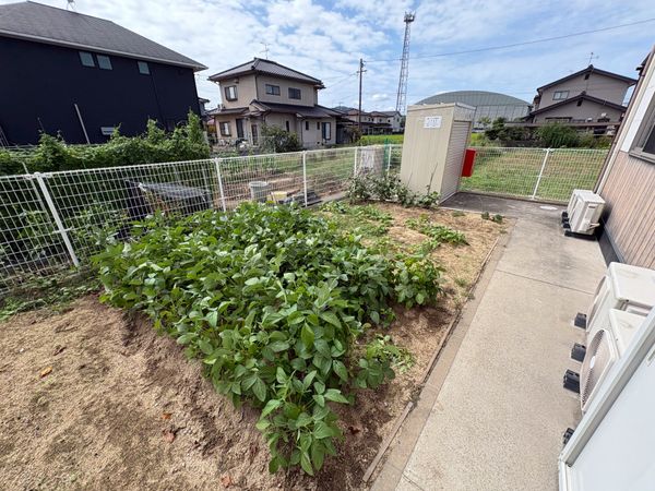 家庭菜園のある庭  