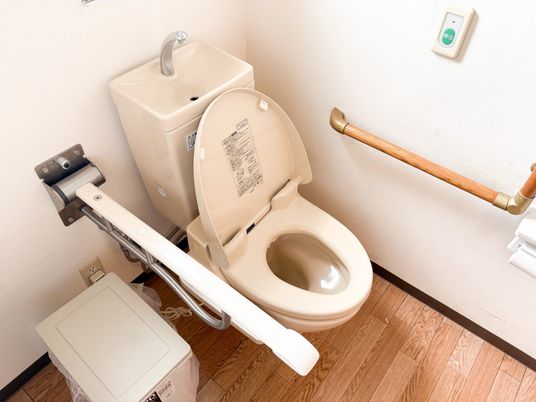 手すり付きトイレ  