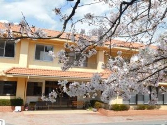 桜と建物の外観  