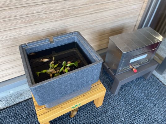 植物と機械が置かれた場所