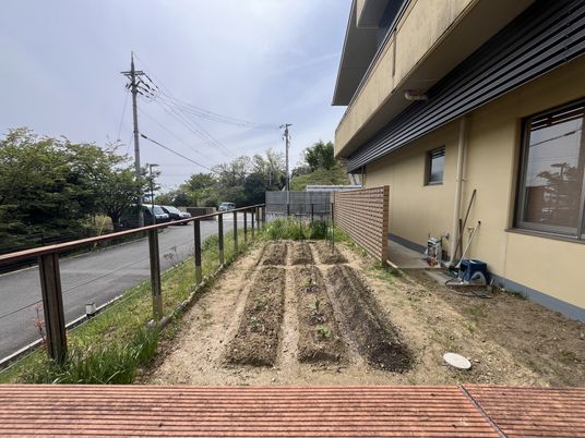 家庭菜園のある庭