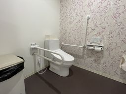 手すり付きの安全トイレ