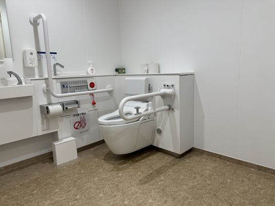機能性が高い設備のトイレ