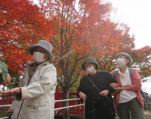 秋の紅葉散策