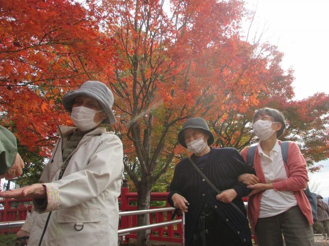秋の紅葉散策 中庭 落ち着いた雰囲気の中で、紅葉を楽しむ方々の姿が見られます。四季折々の自然を身近に感じられる環境です。
