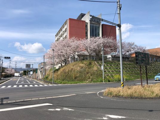 緑豊かな施設の外観