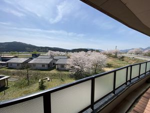 中庭の素晴らしい景色
