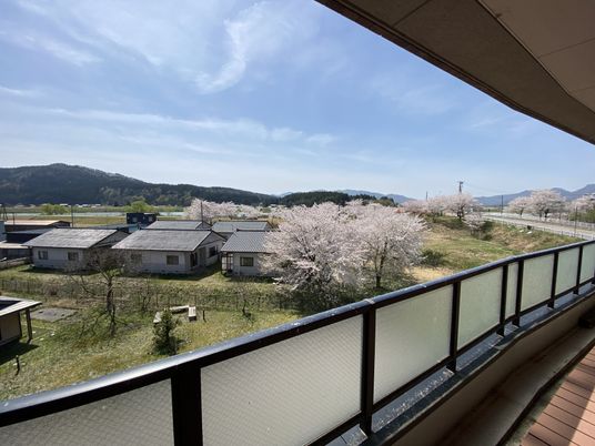 中庭の素晴らしい景色