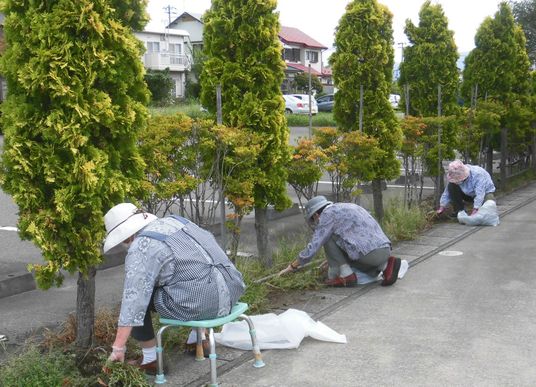 緑あふれる庭の風景