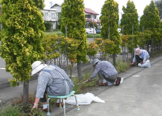 緑あふれる庭の風景