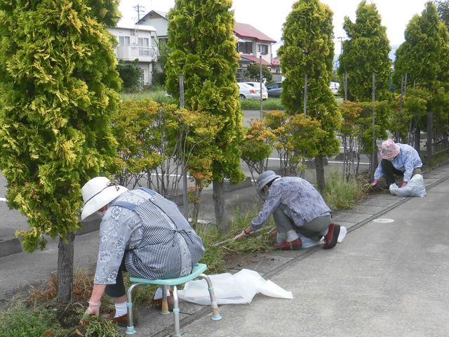 緑あふれる庭の風景 庭 手入れの行き届いた庭で、数名の方が植栽のお手入れに励まれています。共に過ごす時間が心地よい場所です。