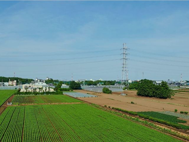 広がる畑と空の風景 風景 のどかな田園風景が広がる周辺環境です。自然に囲まれた静かな場所でのお仕事をご希望の方に適しています。