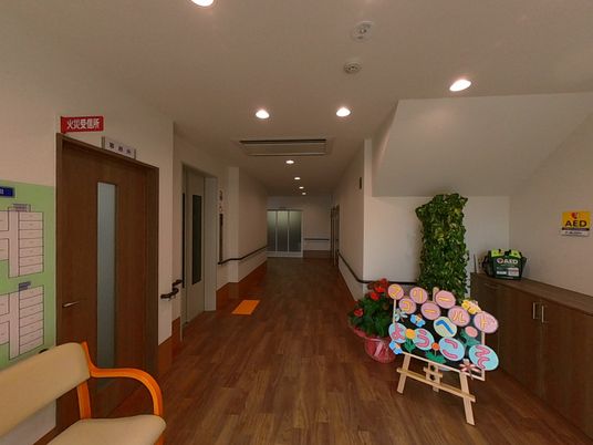 廊下の木目調と観葉植物