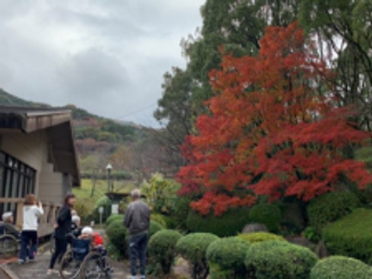 紅葉のある庭