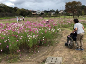 花が咲く庭園