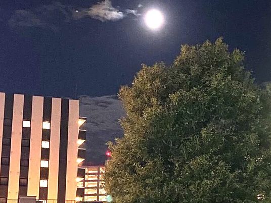 夜空の月と木々の外観  