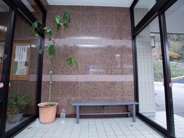 植物とベンチのあるエントランス