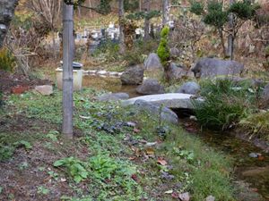 自然豊かな庭の風景