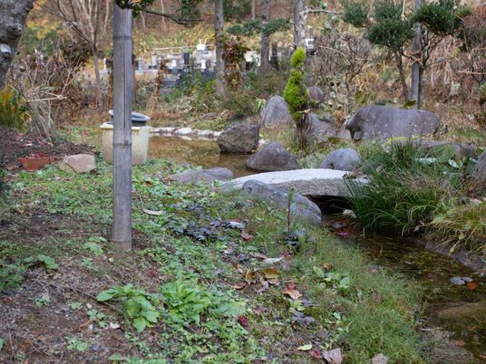 自然豊かな庭の風景