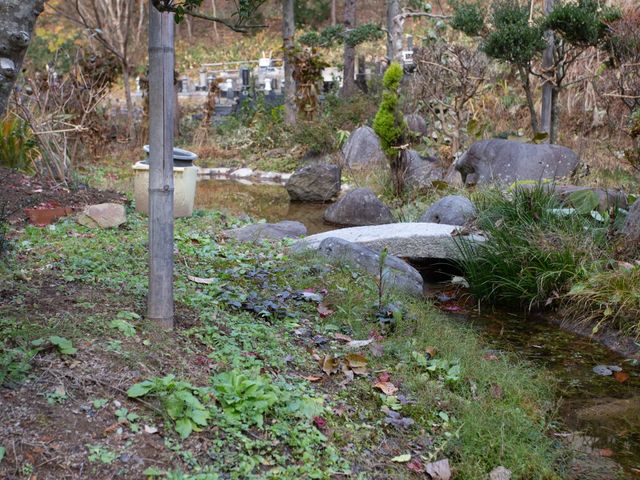 自然豊かな庭の風景 庭 緑に囲まれた静かな中庭です。ここでゆったりと自然の風を感じながら、のんびりとお過ごしいただけます。