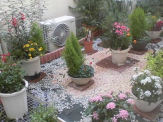 花々が並ぶ庭 庭 色とりどりの花々が植えられた庭は、リラックスできる自然な空間を提供しています。