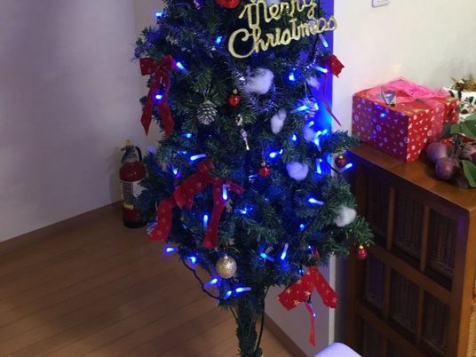 飾り付けたクリスマスツリーのある廊下  