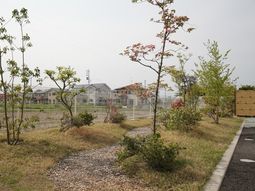 新緑と花の中庭