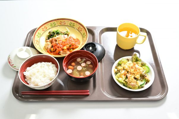 和食の食事セット
