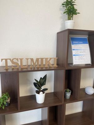 観葉植物の置かれた棚