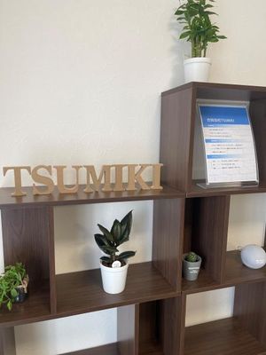 観葉植物の置かれた棚