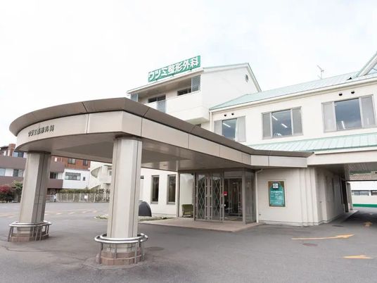 病院風の外観  