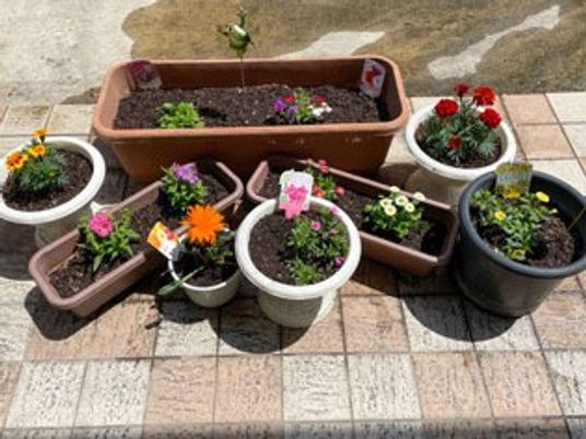 花壇のある中庭  