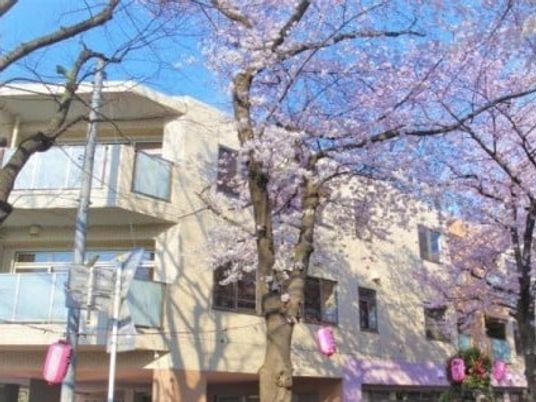 桜と建物の外観  